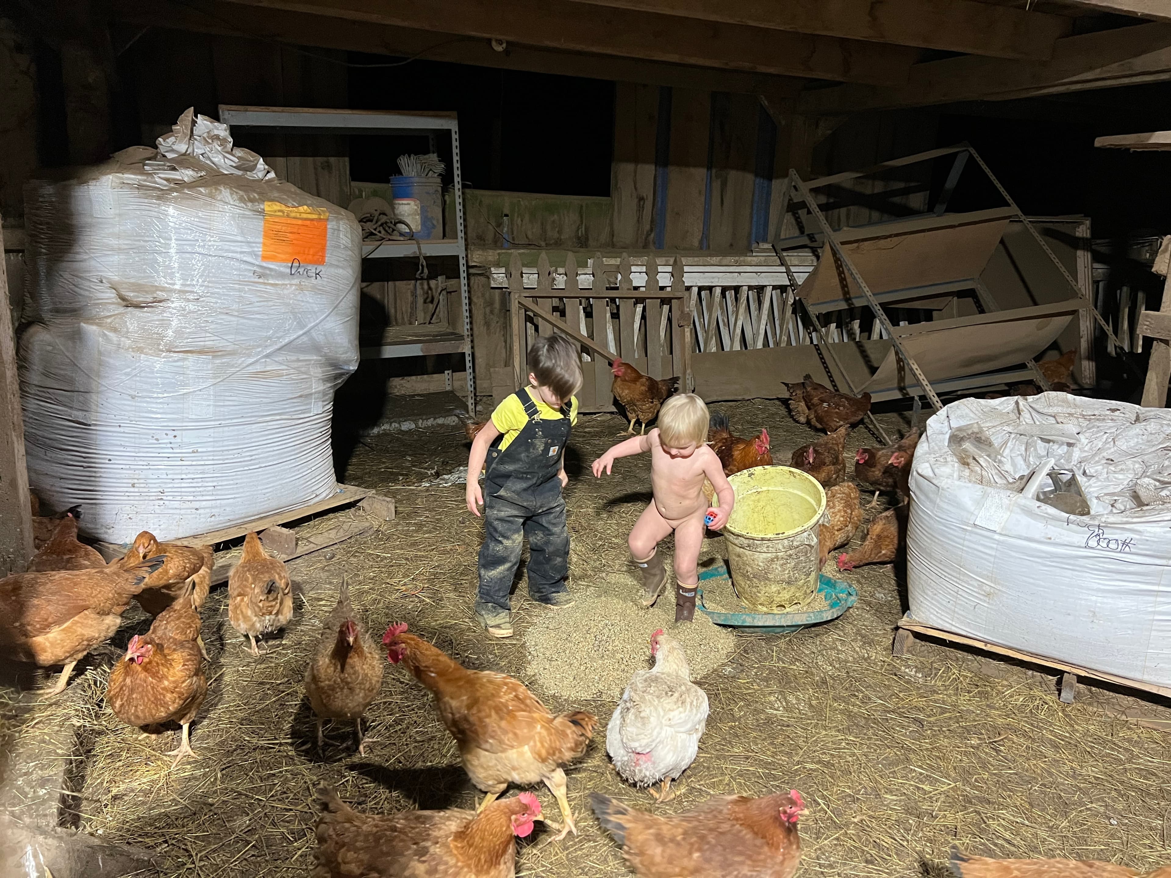 Feed Delivery image 1