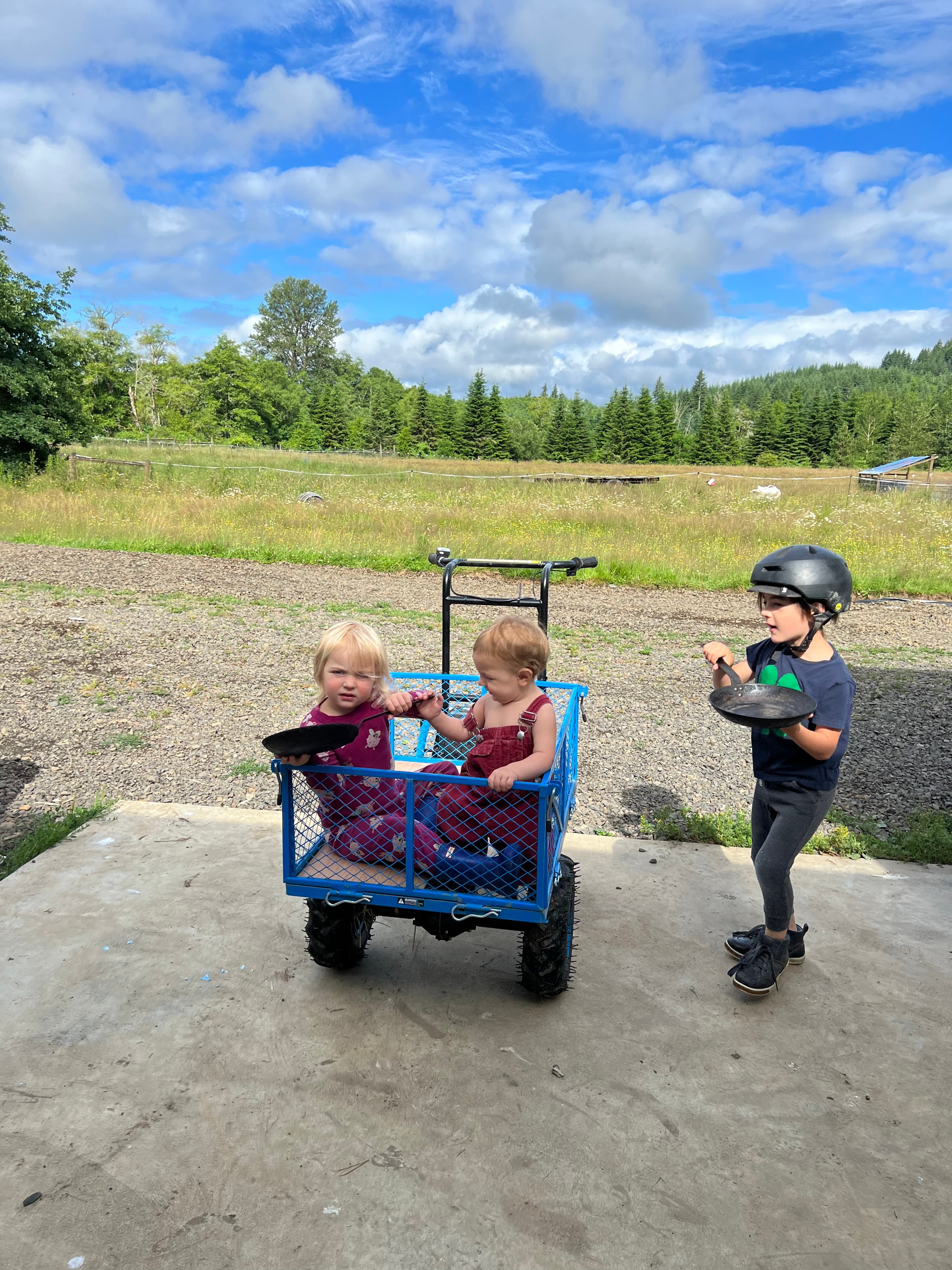 Gathering Ducks image 5