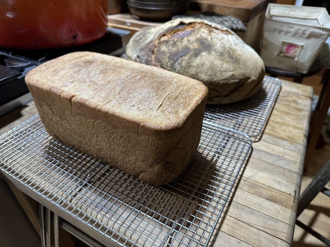 More Water Woes image 4