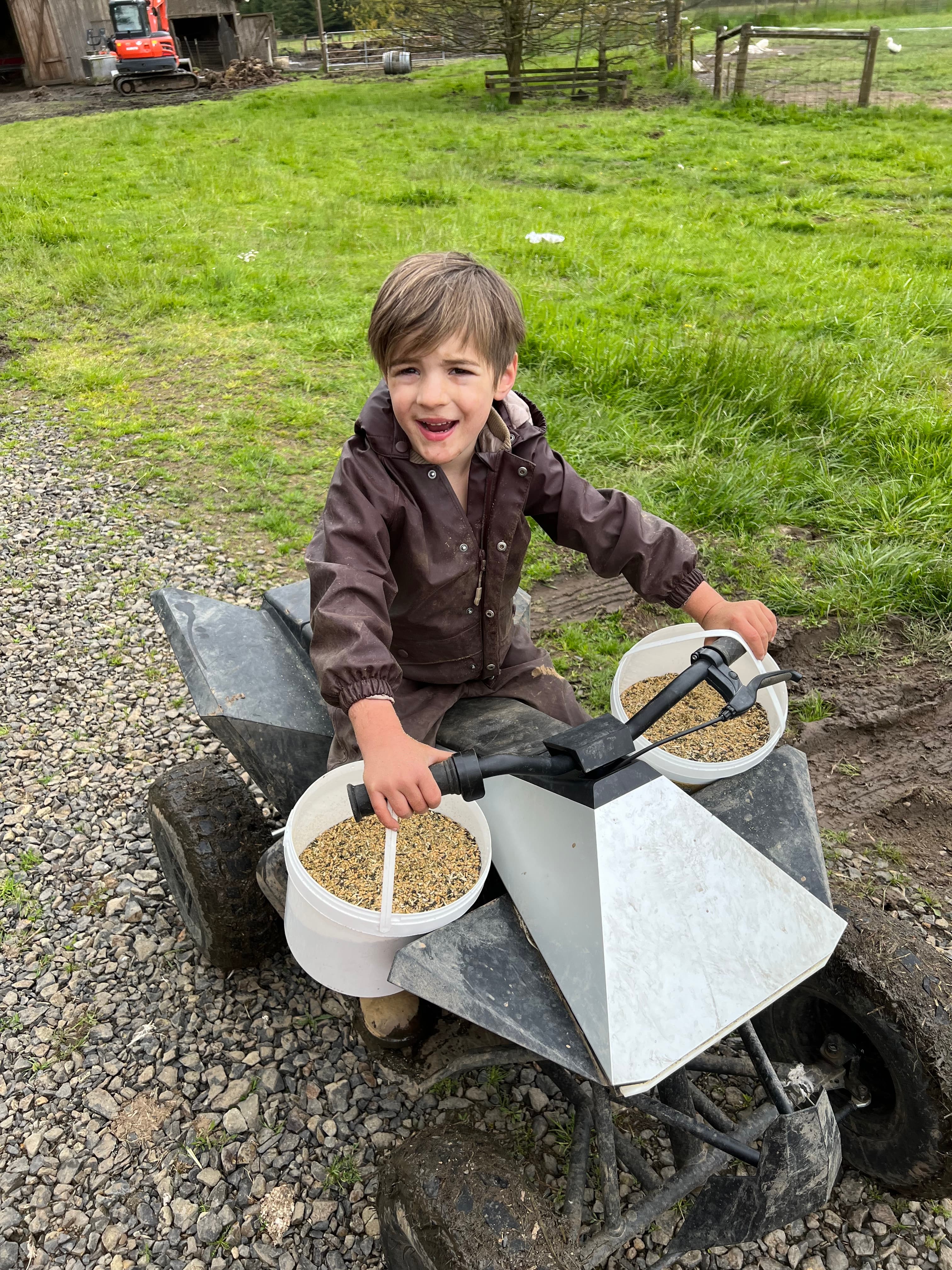 Peeling Sod. image 5
