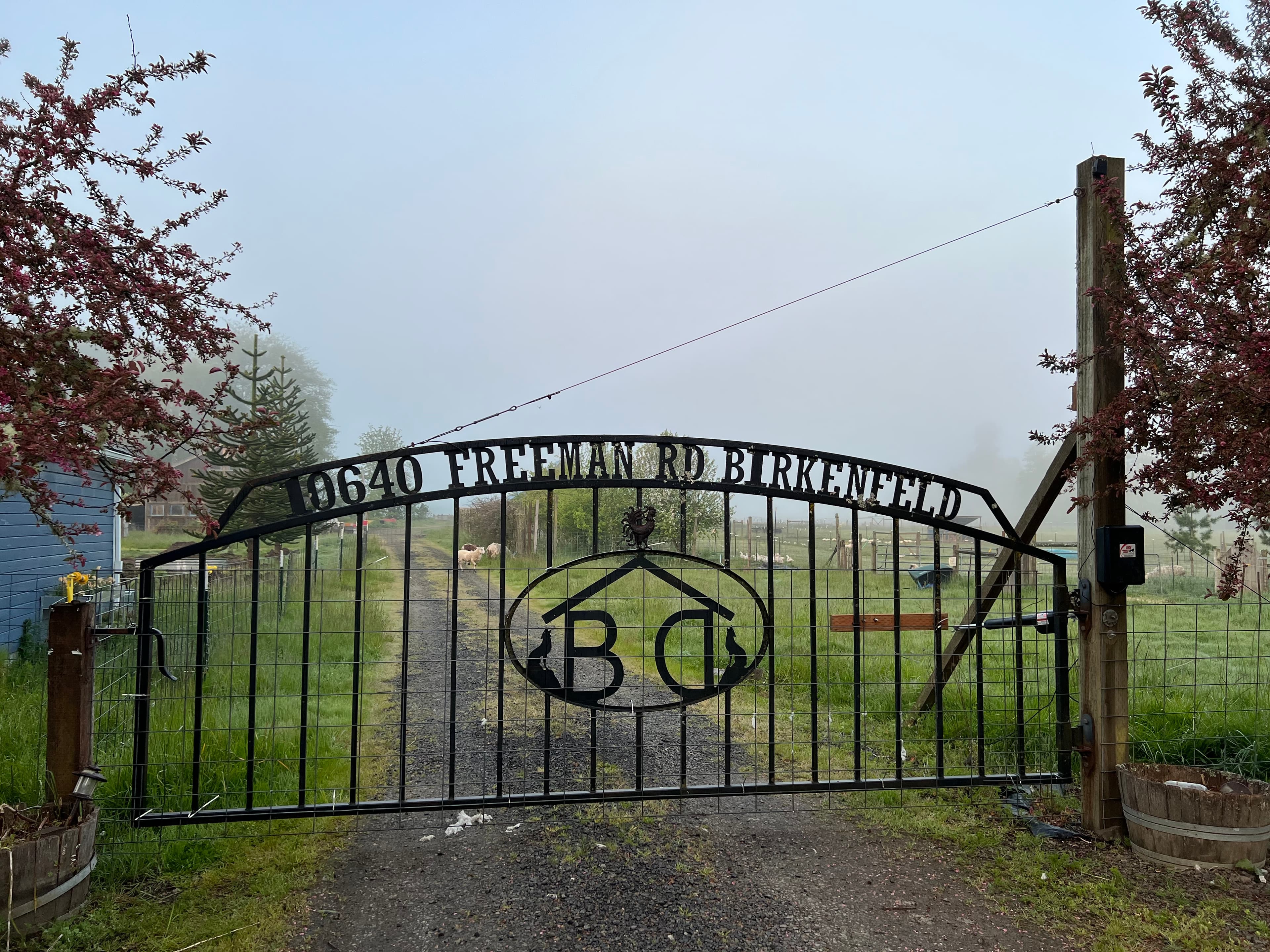 Peeling Sod. image 6