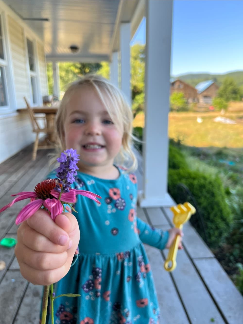 Born Under the Oak Tree image 4