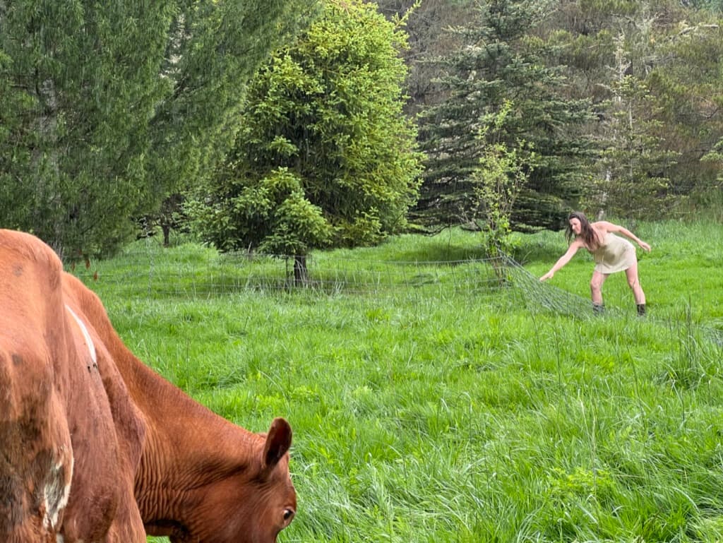 Broken garlic and open hearts. image 3