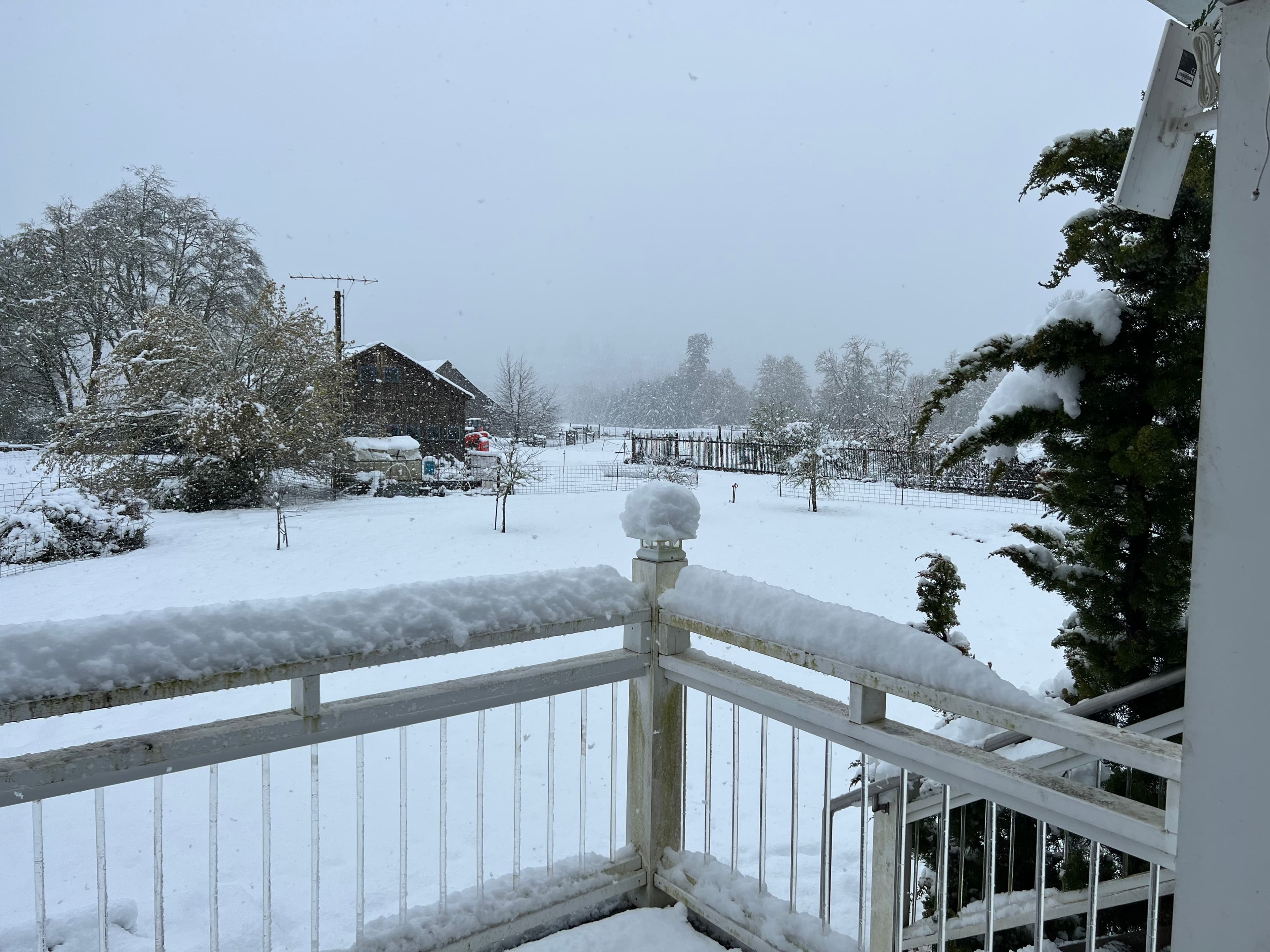 April Snow. Carsberg Birthday Dinner. Moonrise Over Neverstill. image 1