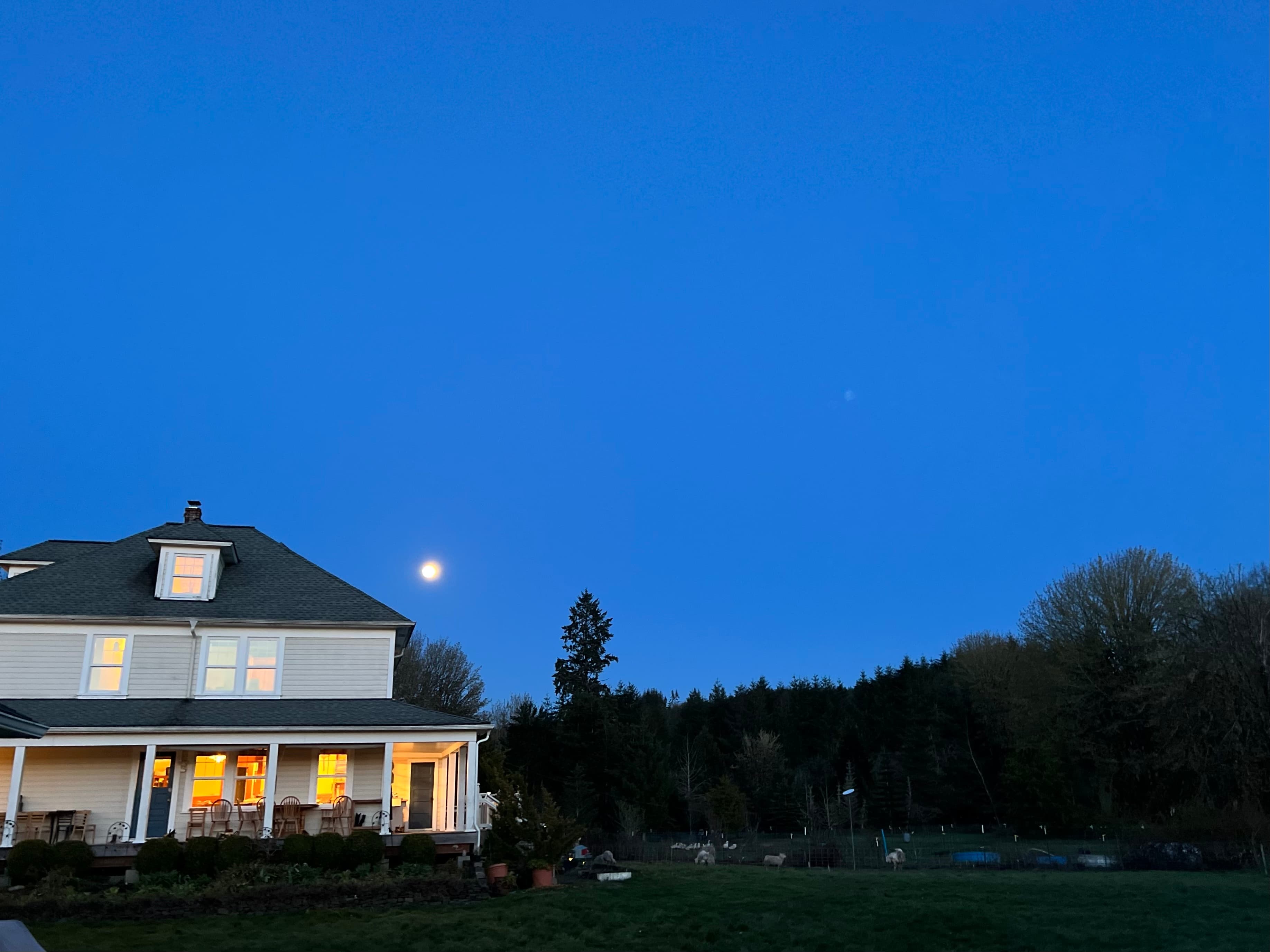 April Snow. Carsberg Birthday Dinner. Moonrise Over Neverstill. image 9