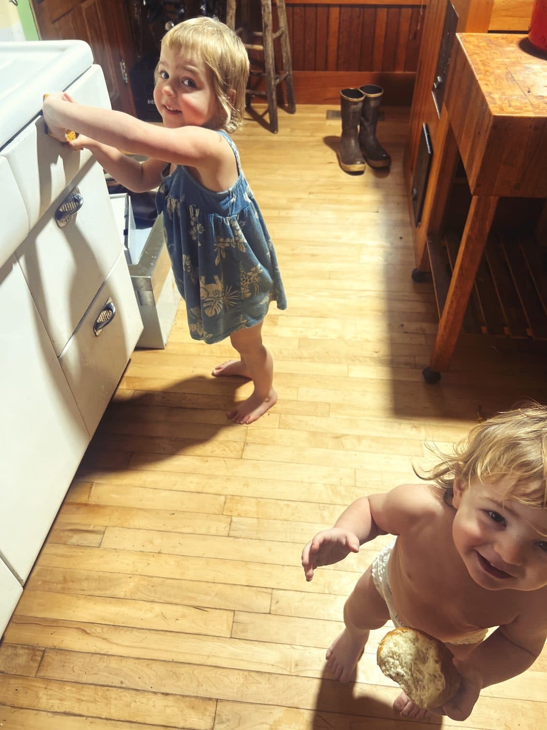 Farm Life, Farm Rice image 2