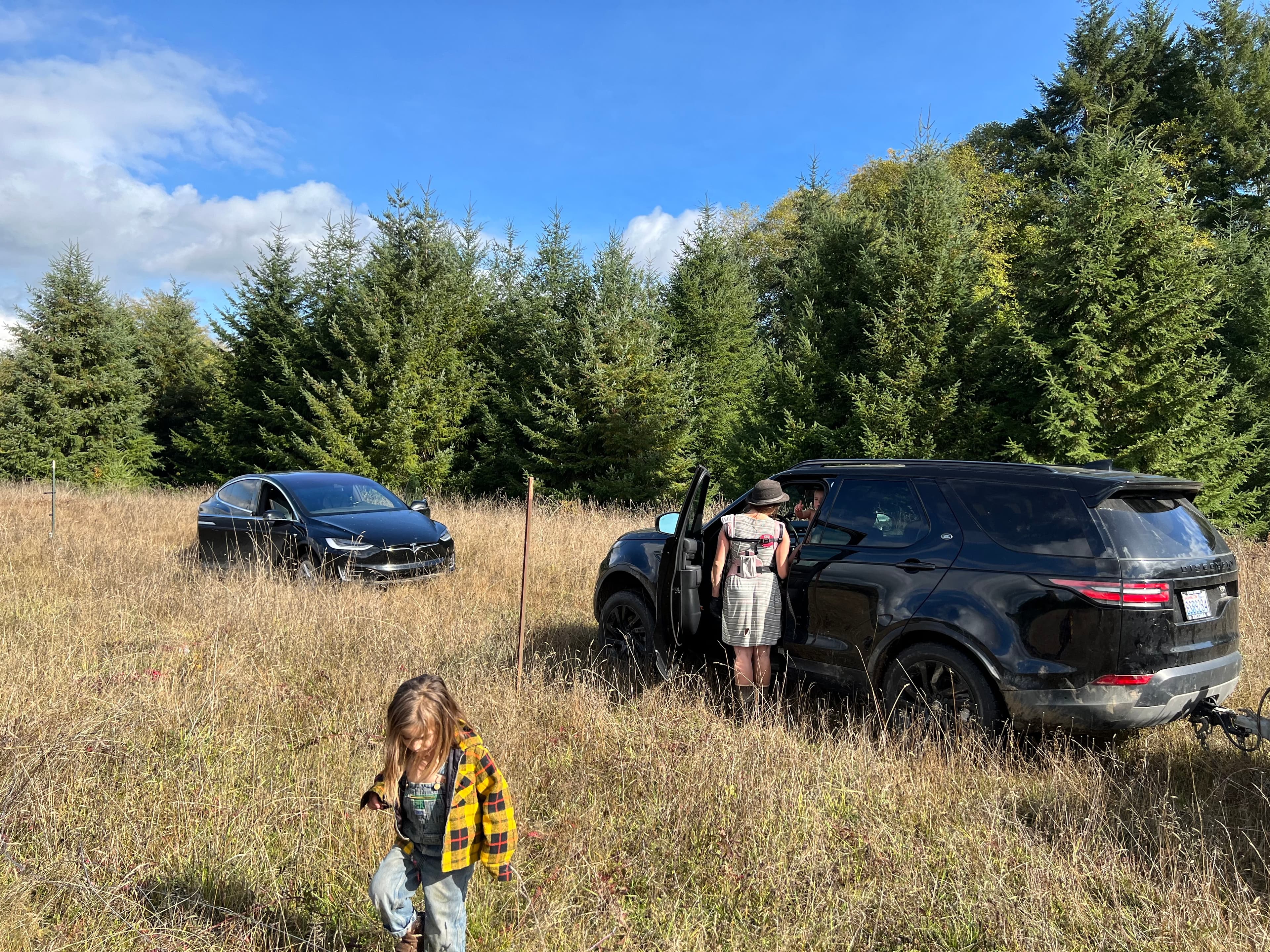 Fencing Neverstill image 2