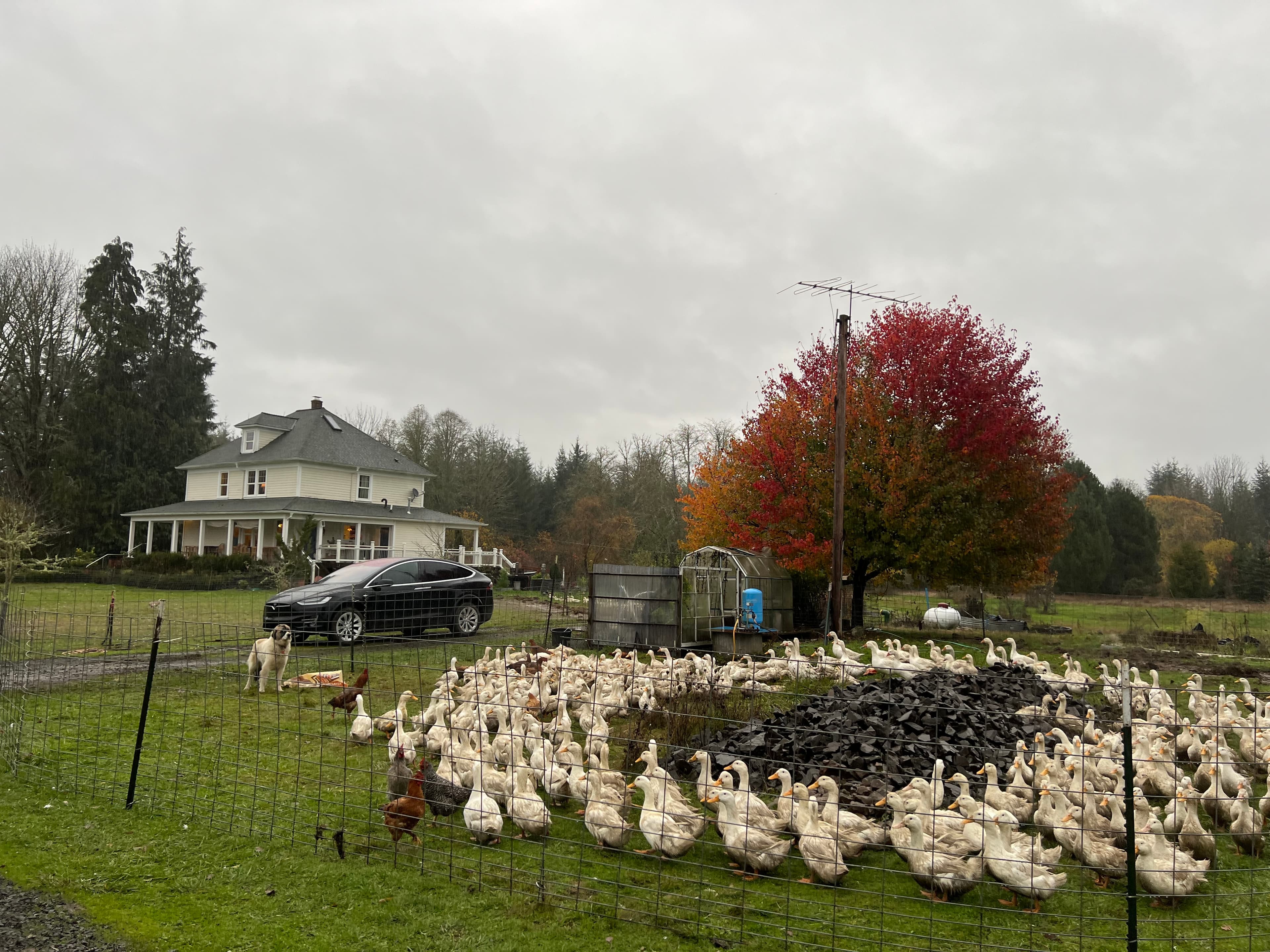 Flood Watch, Chainsaws, Rising Rivers and Rainbows image 3