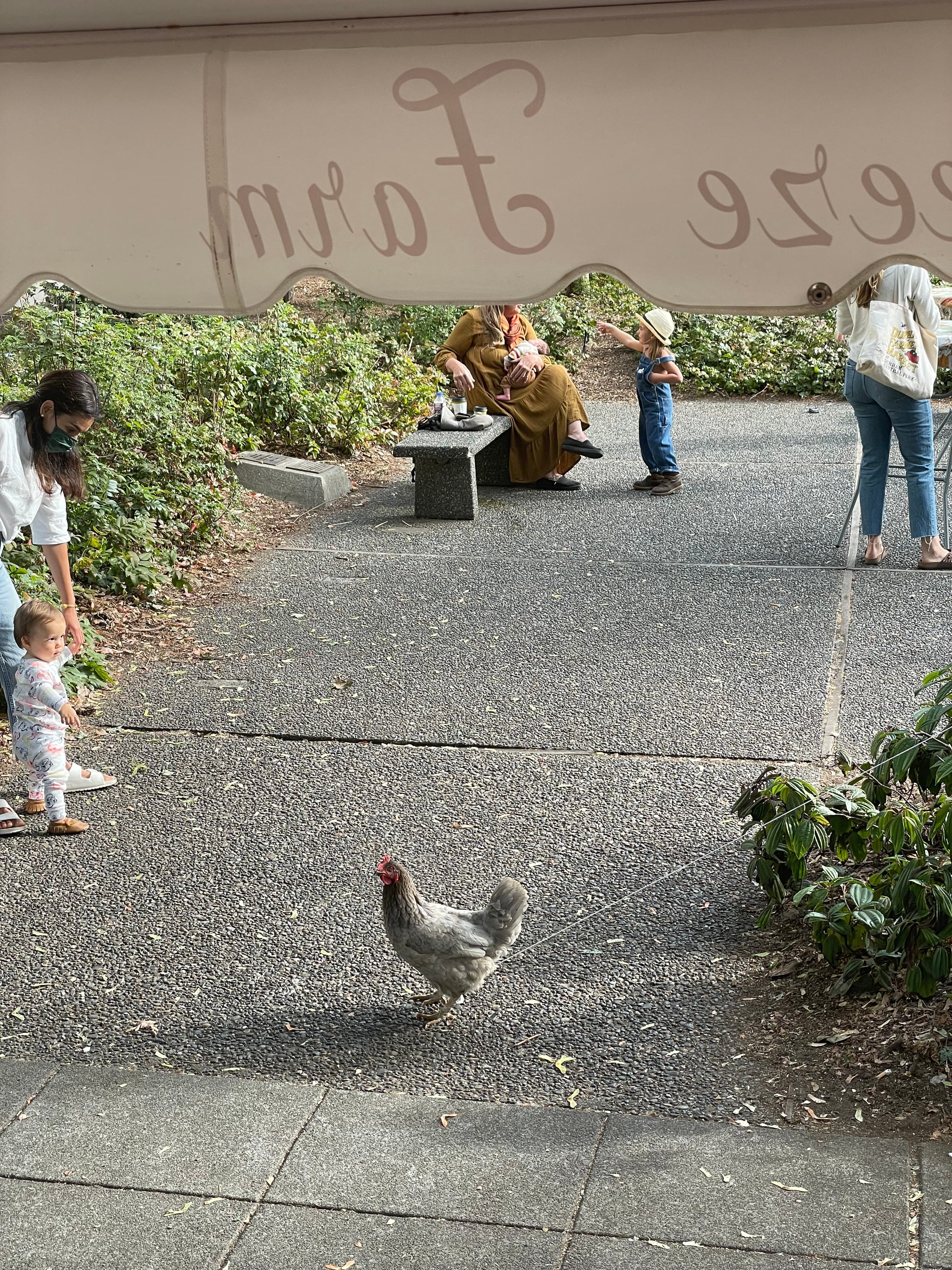 Getting Ready for Concrete image 6