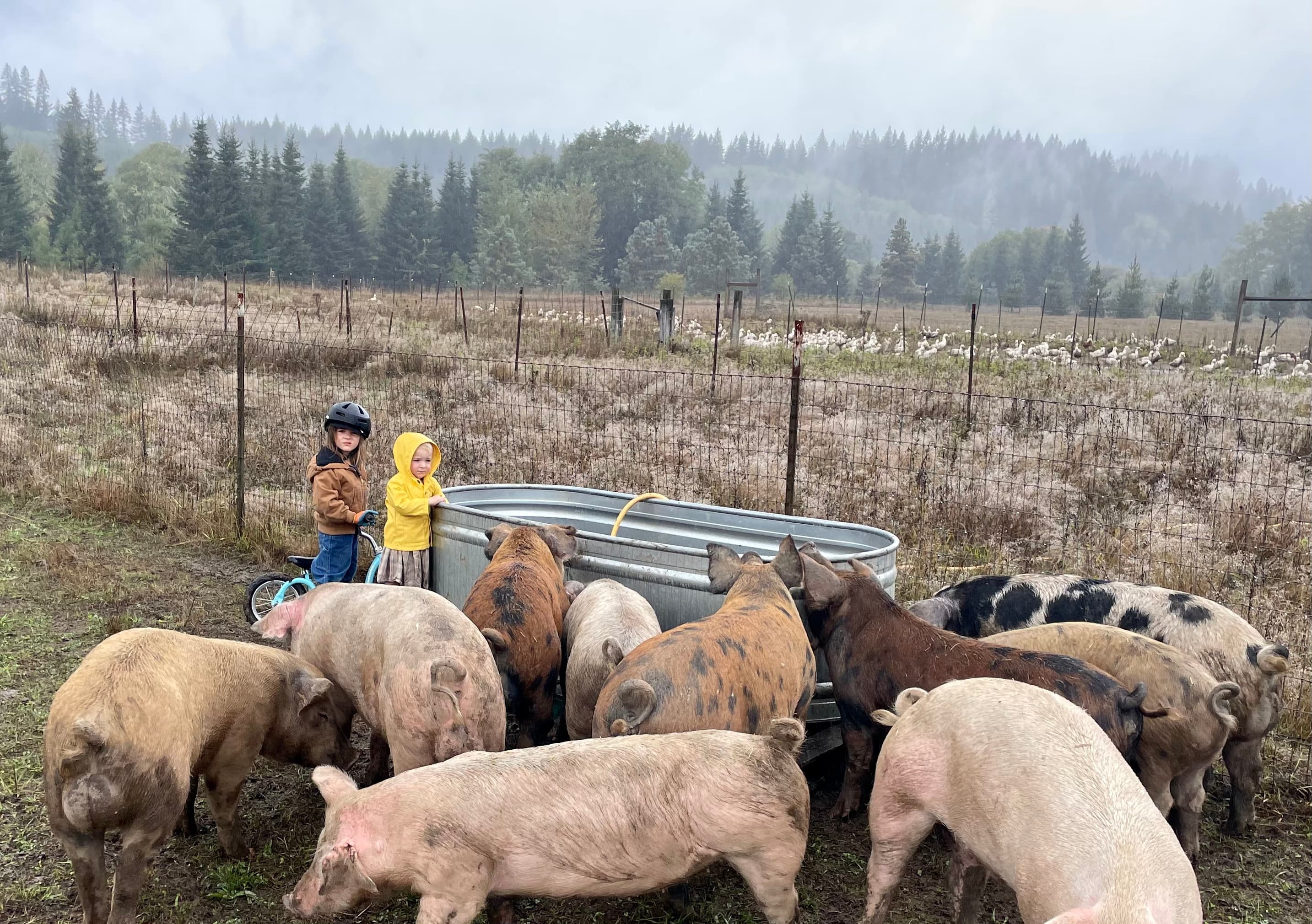 Obnoxiously Free Range image 2