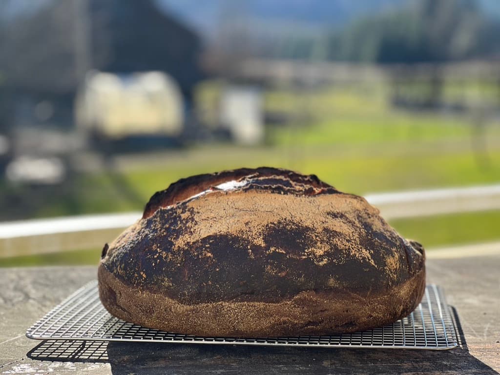 Rose Stole the Magic Meat Truck! image 6