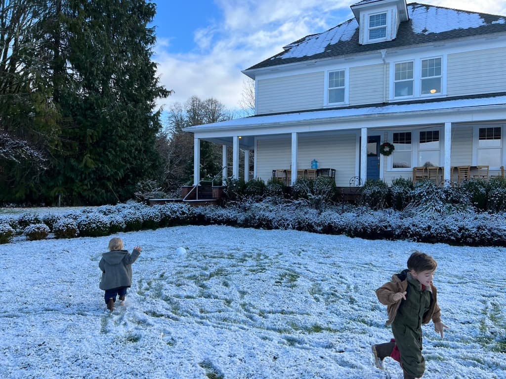 The Snowball Effect image 1