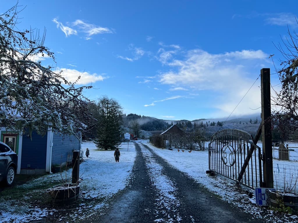 The Snowball Effect image 3